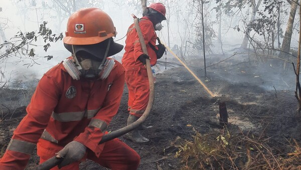 Atasi Sumber Air Kering, 12.880 Personel dan Sumur Bor Dikerahkan Padamkan Karhutla Kalimantan